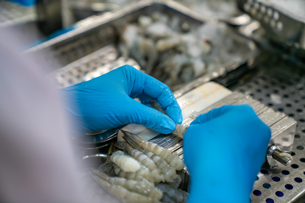Vietnams Seafood Exports: Pivoting Strategy After US Tariff Shock