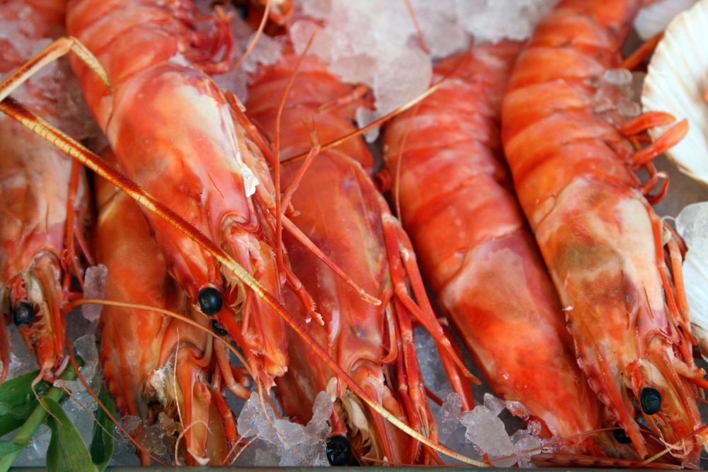 Seafood Demand in South Australia Gutted