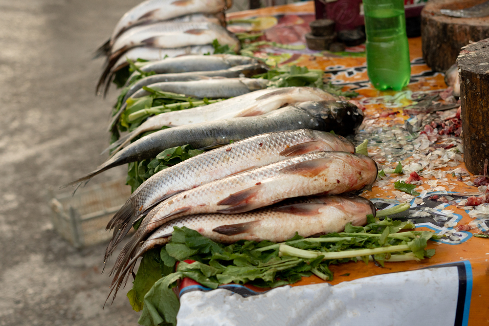 Pakistans Seafood Exports to Vietnam Rise 20%, Reaching $9 Million