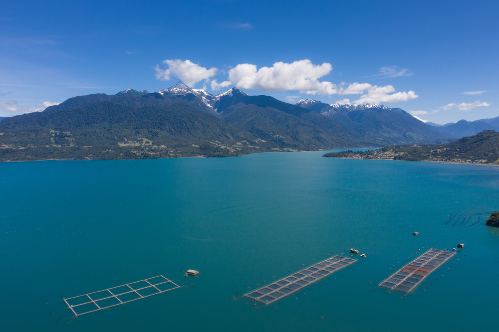 @FAN Spa Executive Director Explains the Latest Harmful Algal Bloom in Chile