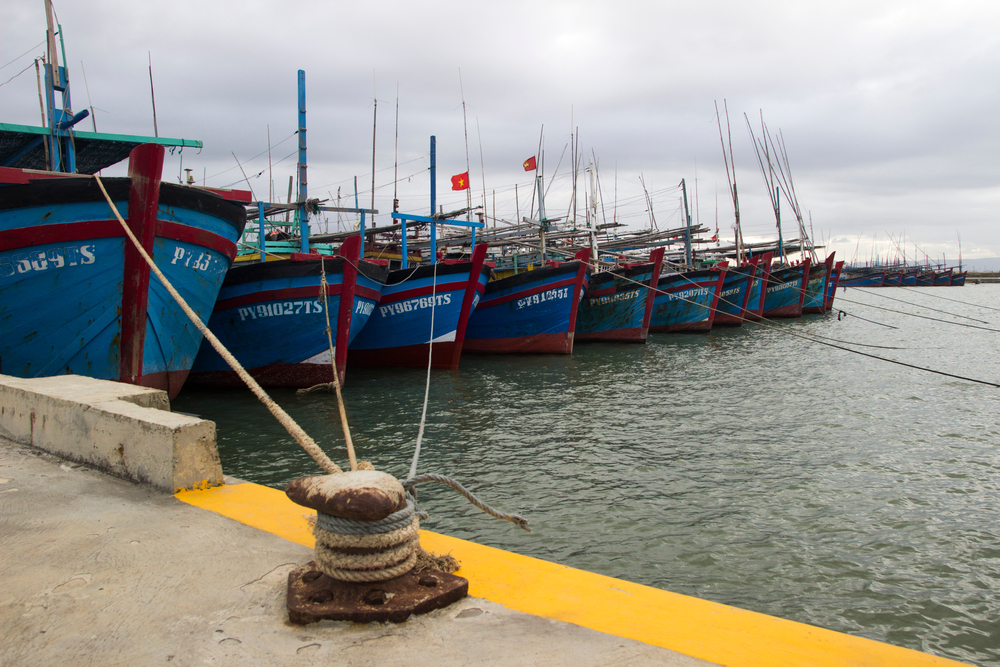 Vietnamese Tuna Enterprises Struggling to Find a Way Out