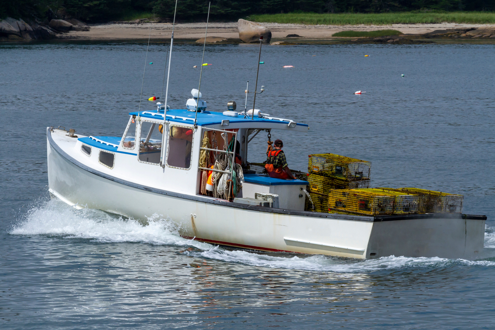 Man and Dog Rescued After Lobster Boat Explosion in Harpswell