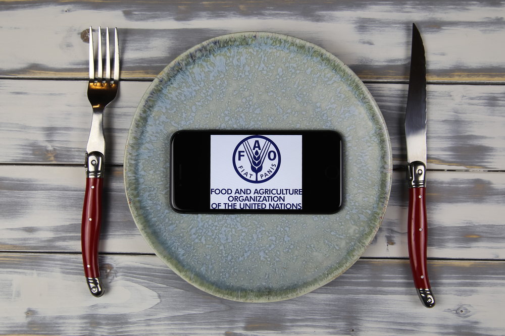 Food Prices Largely Unchanged in August, United Nations FAO Says