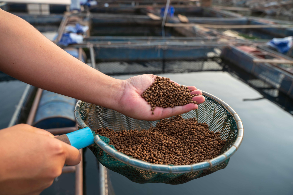 Aquatic Life Institute Releases 2024 Aquaculture Certification Schemes Benchmark