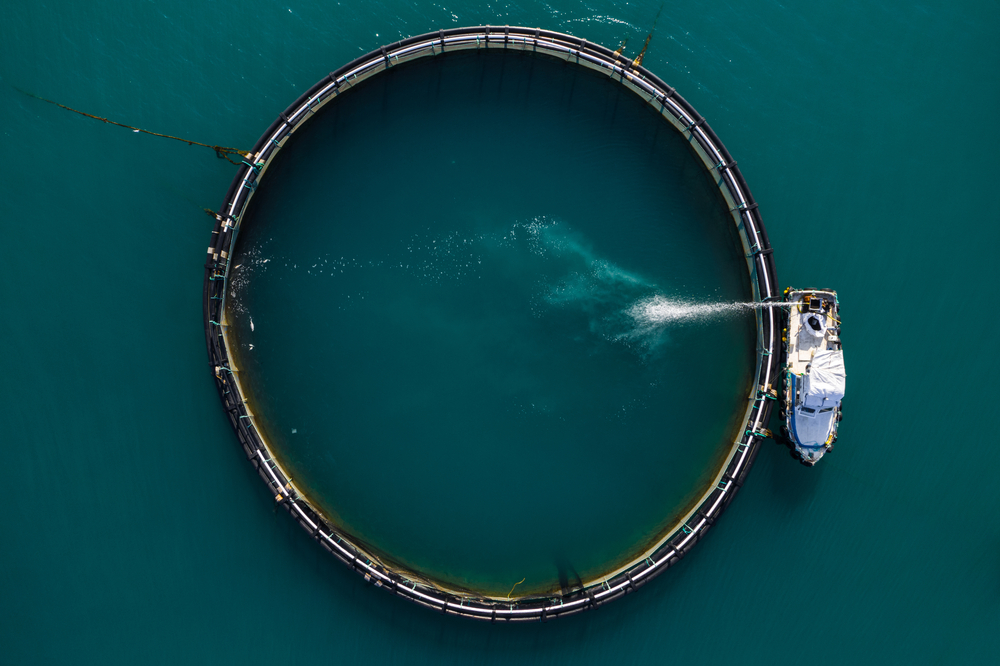 Former Malta Fisheries Director Denies Charges Related to Alleged Tuna Export Racket