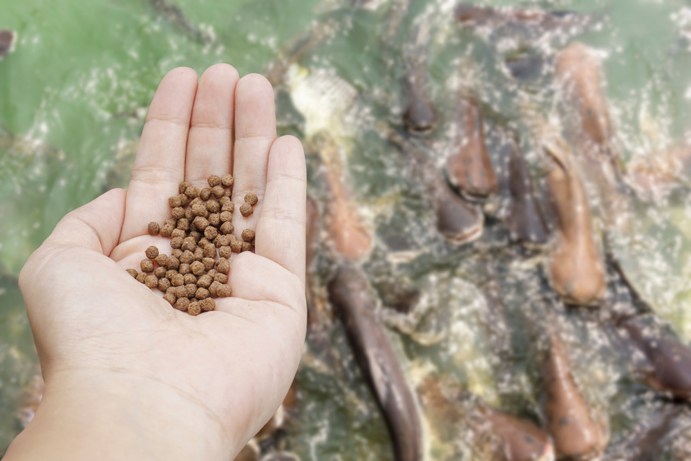 Tunga/Skretting Launches Aqua Feed Production Facility in Nairobi