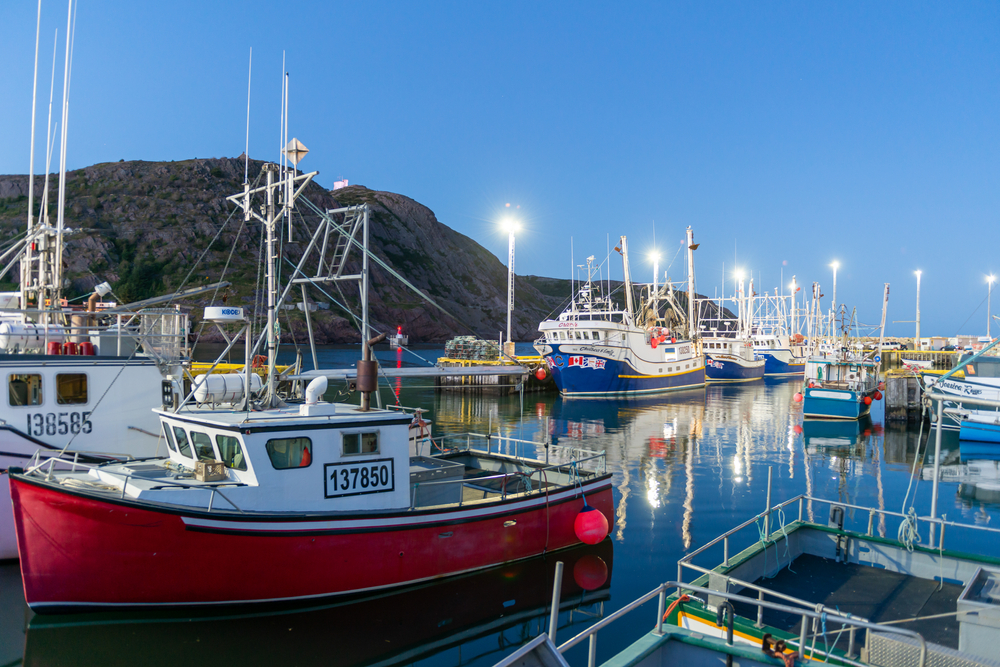 Canada Reopens Northern Shrimp Fishery Off Newfoundland for First Time in Over a Decade