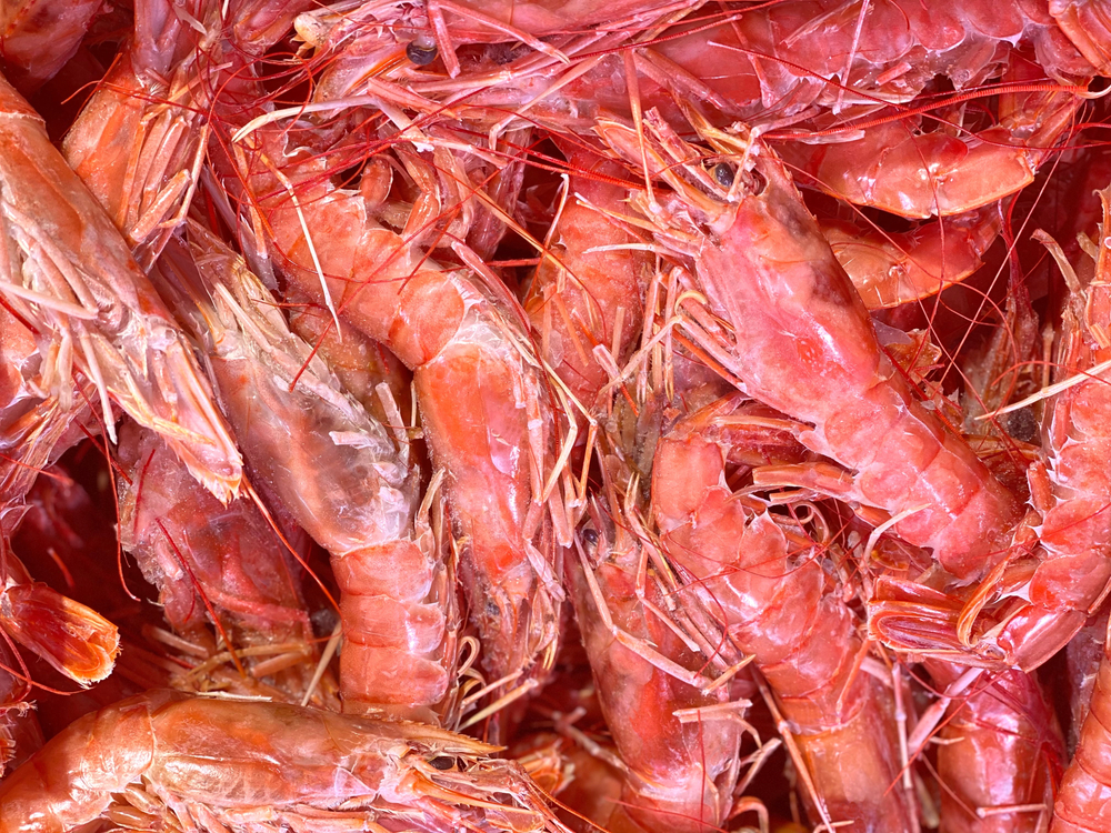 Iceland Seafood International Subsidiary Acquires Two Argentine Freezer Trawlers for $5.8 Million
