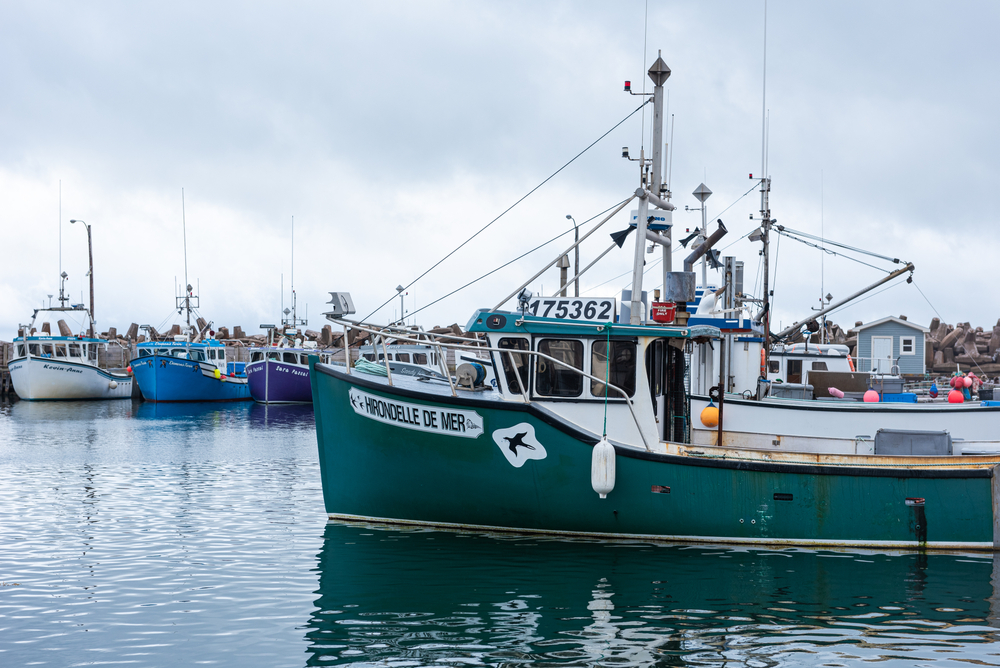 Canada Announces Major Investment in Economic Development and Viability of North Shore Fishery