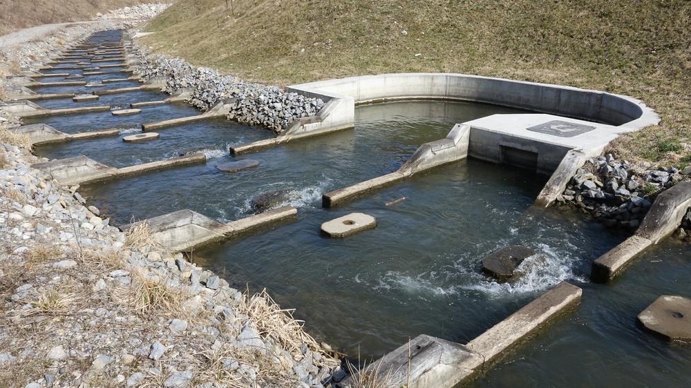 Newly formed group Free the Andro Calls for Removal or Redesign of Maine Dams Fish Passage