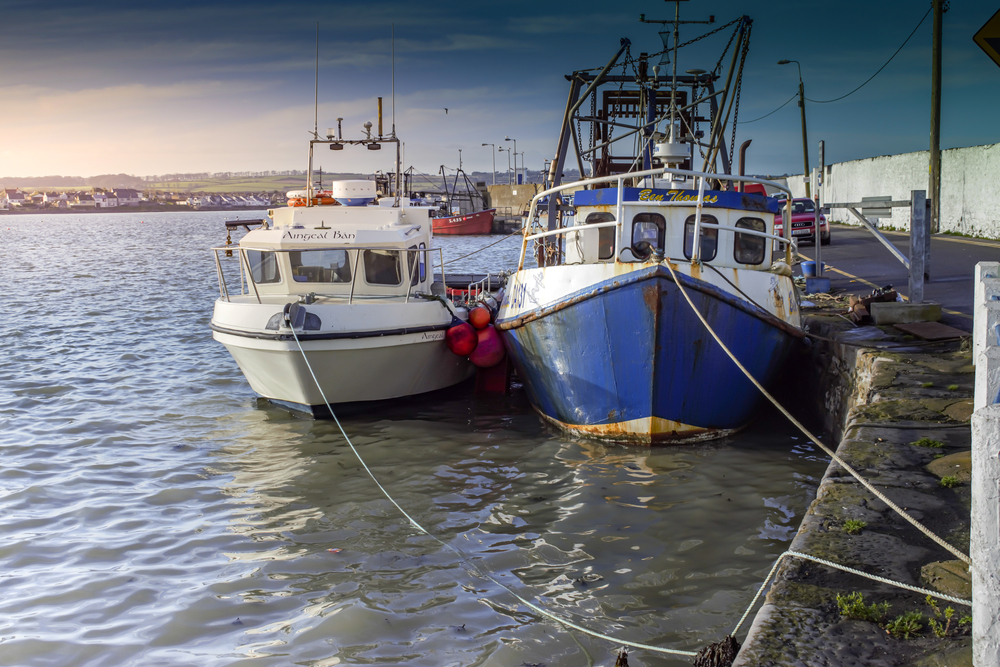 Irish Fishermen Say Industry Facing Toughest Ever Year
