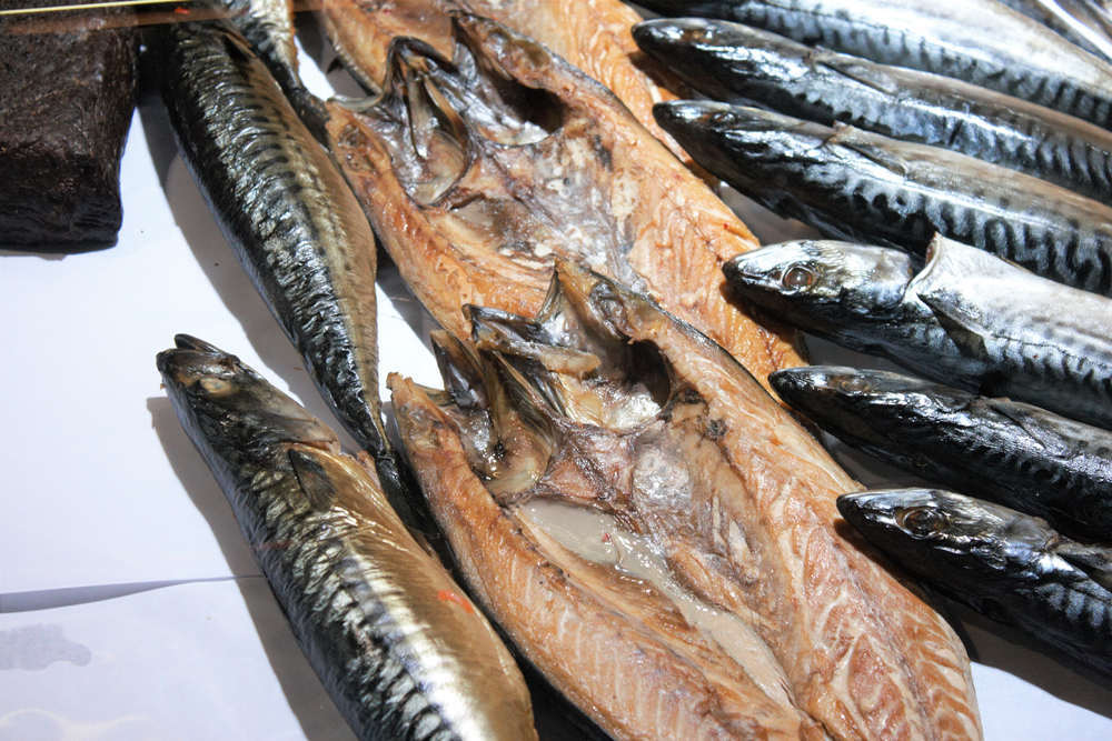 The Basque Govt Is Concerned About the 70% Reduction of the Mackerel and Mackerel Quota in Europe