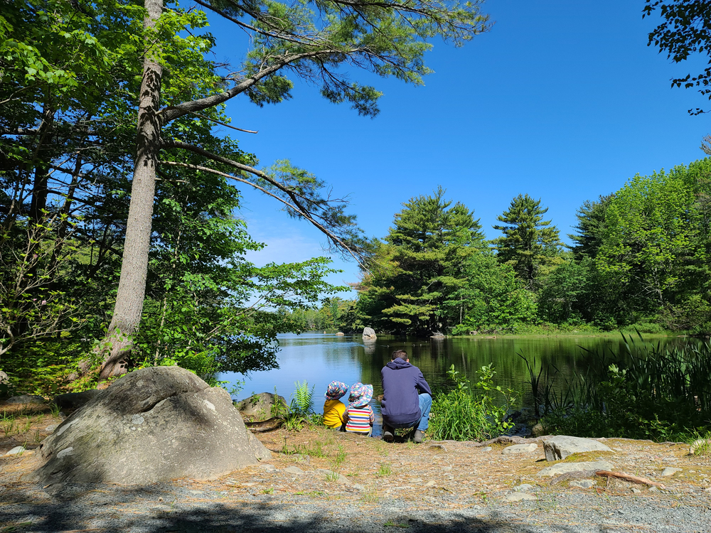 Access Restrictions On Wooded Areas In Nova Scotia, New Brunswick Face Opposition
