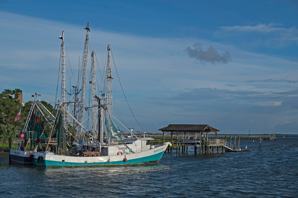 Charleston Shrimper Faces a New Challenge: Mysterious Seagrass