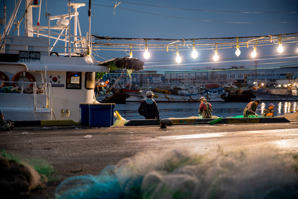 South Korea: They Caught a Fortune in Tuna, Then Had to Dump it All in the Sea