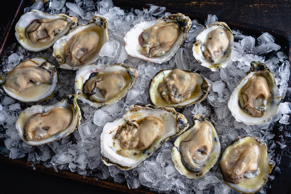 Chesapeake Bay Oysters Make Major Comeback, Tripling in Number Over 20 Years