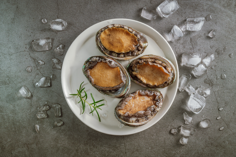 Hatchery Studies Yield Path to Boosting Abalone Output