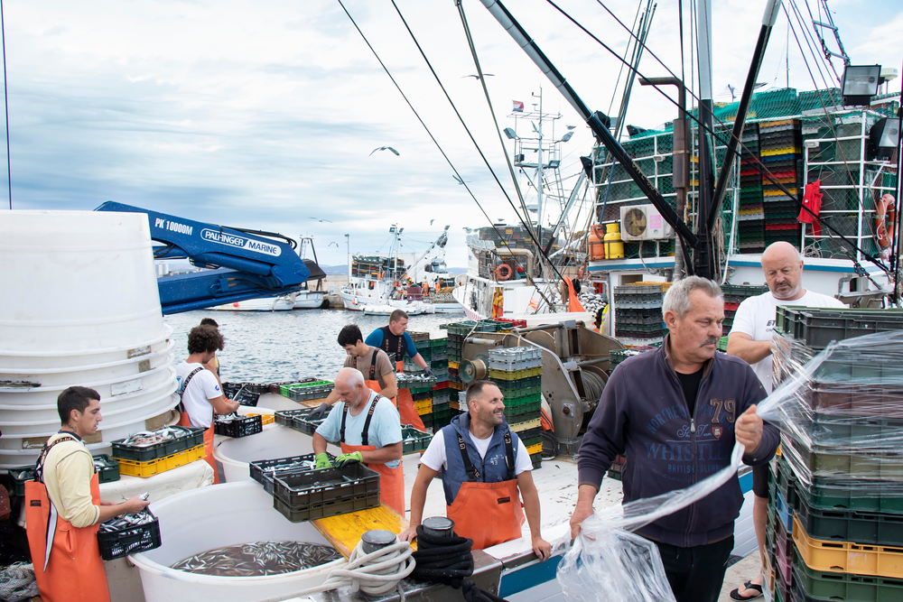 Croatia Plans €64mn Investment in Fisheries Over Next Three Years