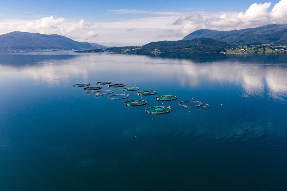 Norway Reports One Million Fish Mortalities in Production Areas 9 and 10