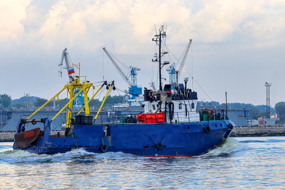 Russian Fishery Revenues Stagnate in 2024 as Export Restrictions and Costs Bite