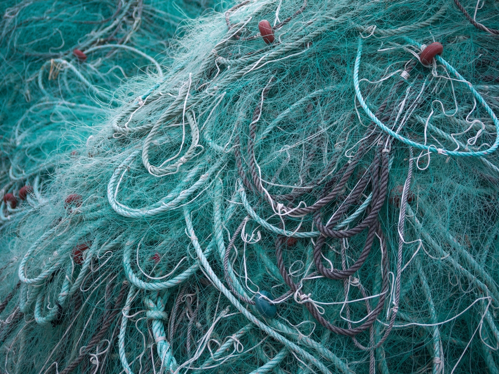 Ocean Conservation Group Targets Deadly Ghost Gear