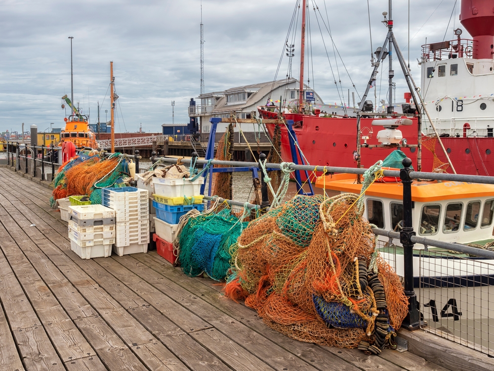 UK Fish Stocks Face Growing Strain as Sustainability Ratings Slip for Cod, Scampi