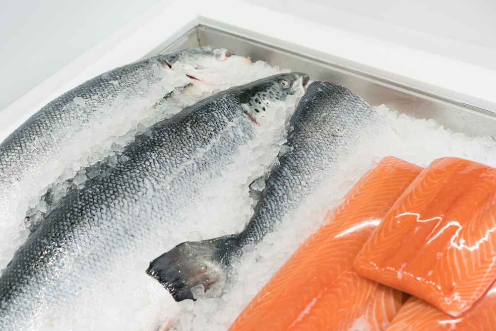 ANALYSIS: Biomass Levels Show Positive Trends for Norwegian Salmon