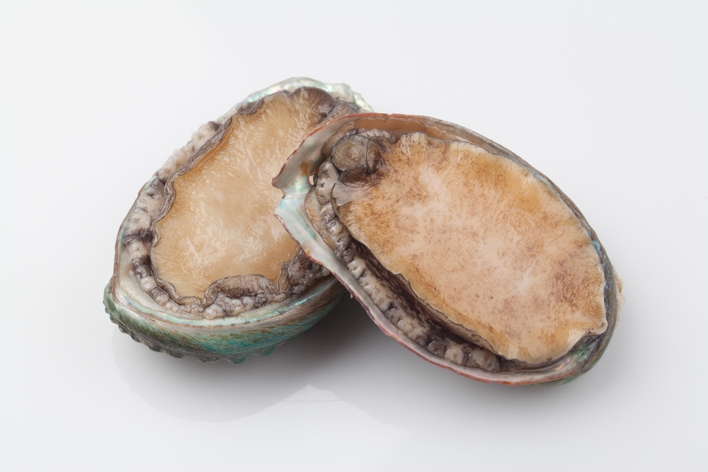 California Bans Harvest of Ocean Delicacy Until 2036