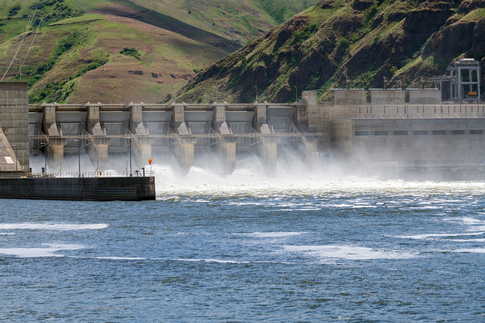 Trump Withdraws From Agreement With Tribes to Protect Salmon