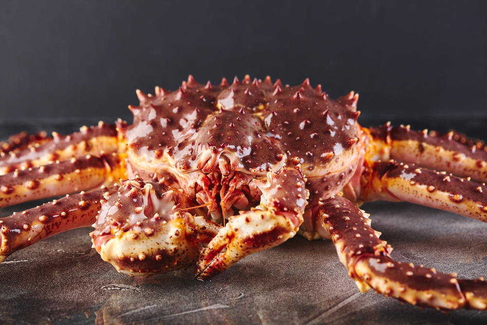 U.S. Imports of Russian King Crab Surge in May