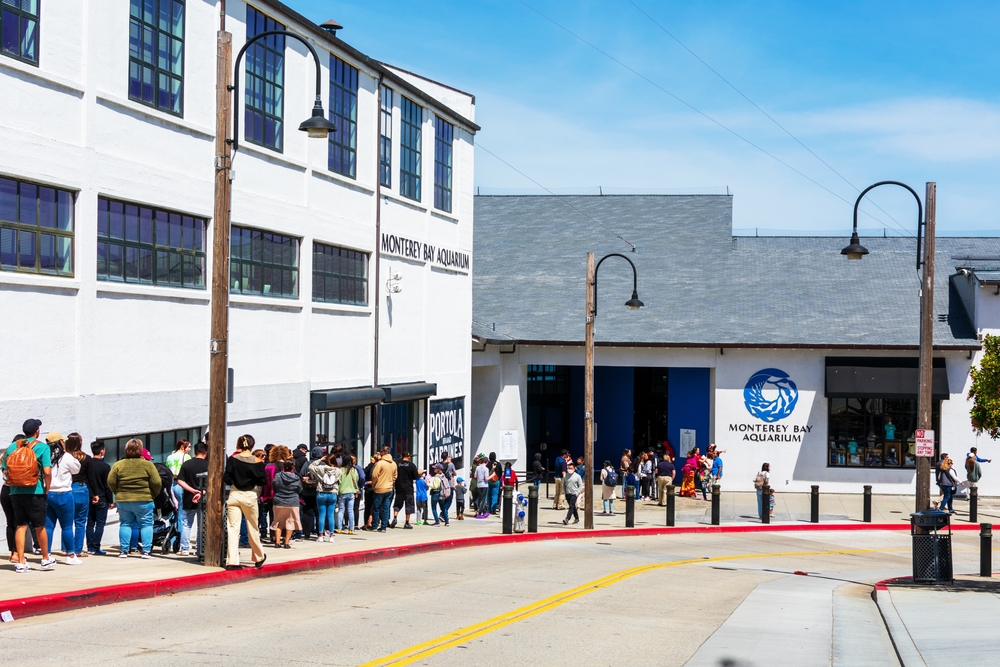 Monterey Bay Aquarium’s Julie Packard Transitions from Executive Director to Board of Trustees