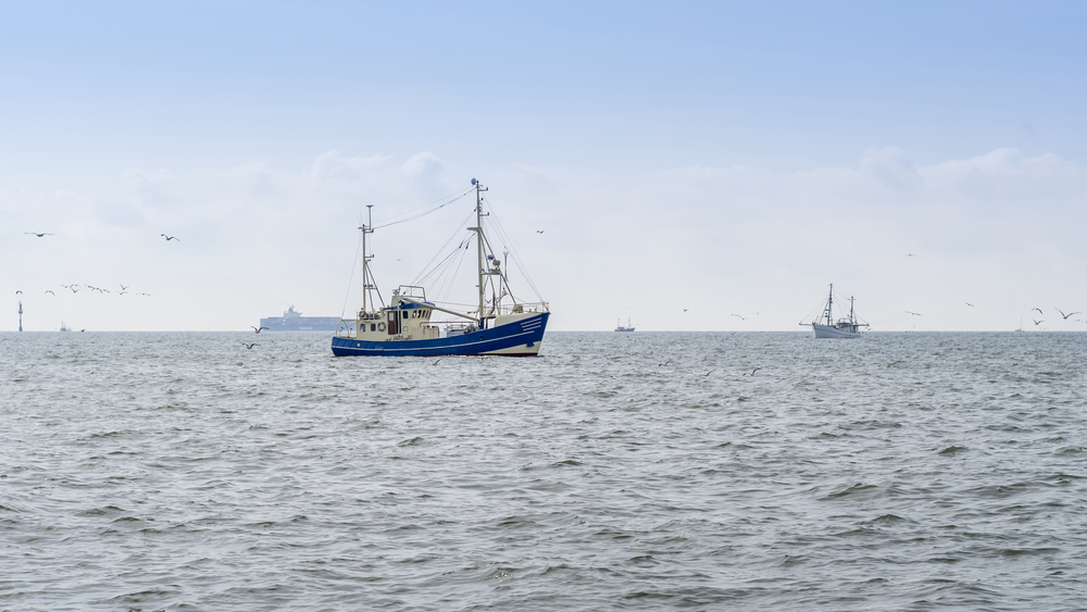 North Carolina Senate OKs Payments to Shrimpers Impacted by Controversial Trawling Ban
