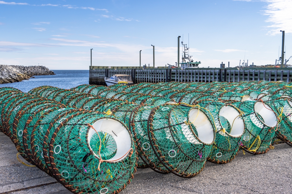 UN Treaty to Protect High Seas Becomes Law as Canada Works to Shore up its Commitment