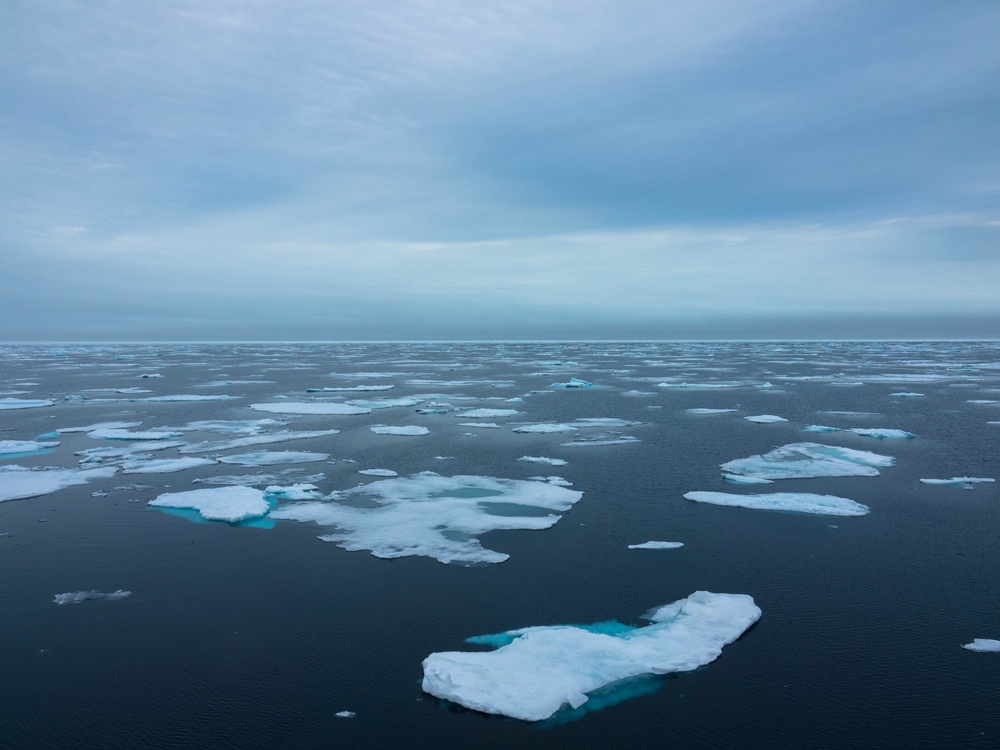As Bering Sea Ice Vanishes, Upheaval Hits a Remote Island