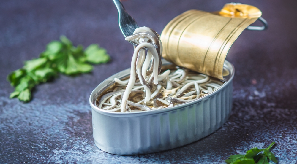 Baby Eel Businesswoman The Most Courageous Person I know: Lawyer