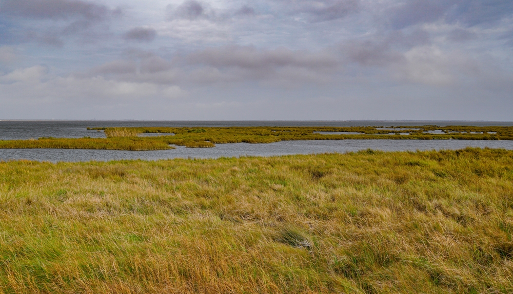 Louisiana Cancels $3 Billion Coastal Restoration Project Funded by Oil Spill Settlement