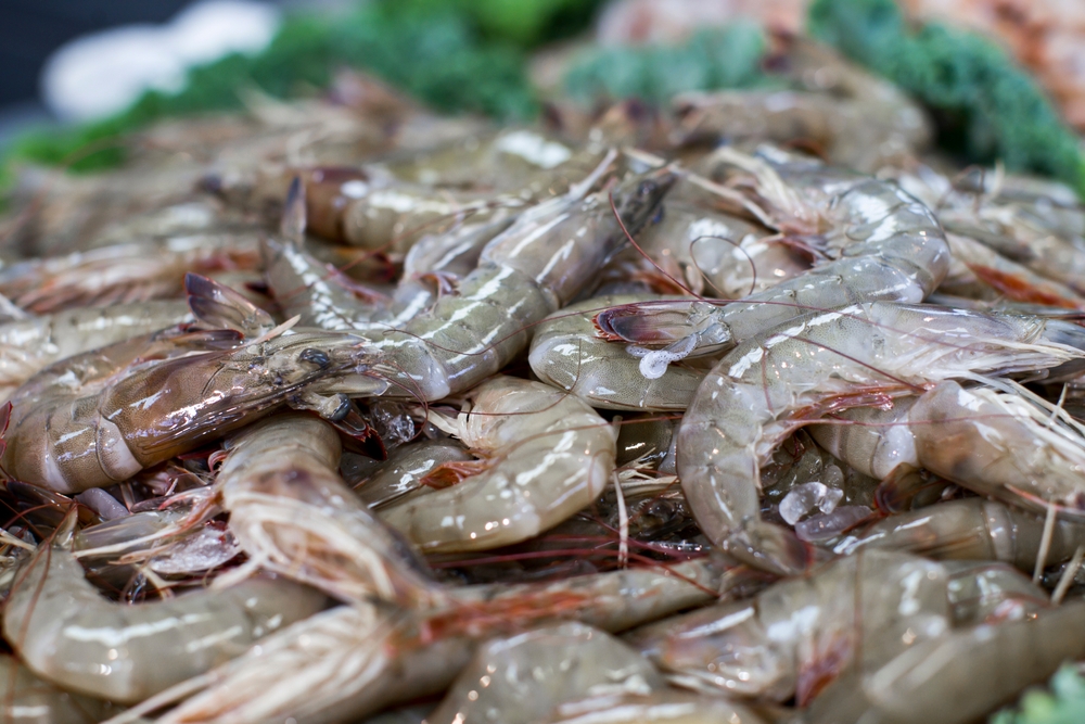 Tests Find No Compliance With Seafood Labeling Laws in Monroe, Ruston