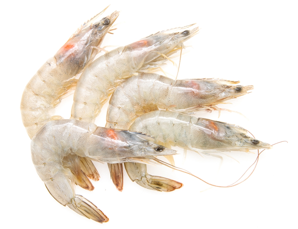 Vietnam’s Shrimp Exports Near $4bn in January-October