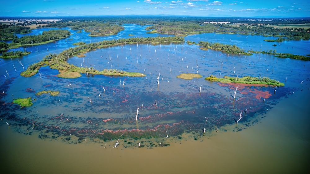 South Australias Algal Bloom Hits Industries