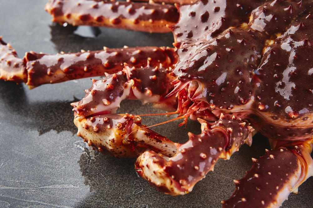 Russian King Crab Takes Flight: Direct Barents Sea-to-China Shipments Slash Costs Amid US Embargo