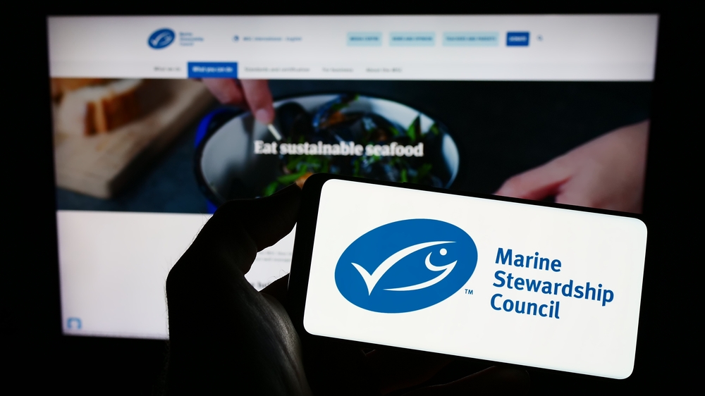 MSC Launches Improvement Program to Combat Overfishing with Incentives for Fisheries