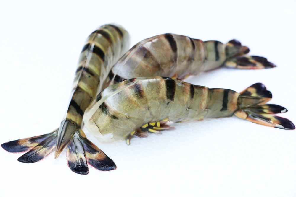 China Spends Over US$1 Billion on Shrimp Imports from Vietnam in Jan-Oct