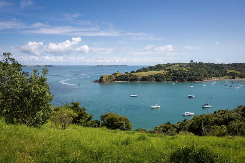 Marine Protections on the Way for Hauraki Gulf