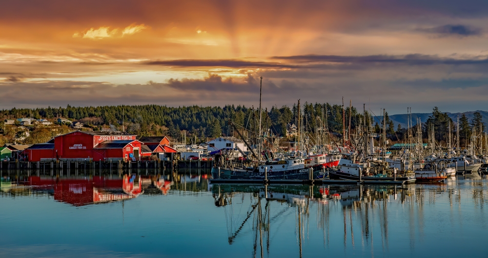Amid Trump Tariff Uncertainty, Oregon Democrats Rallies Behind West Coast Seafood Industry
