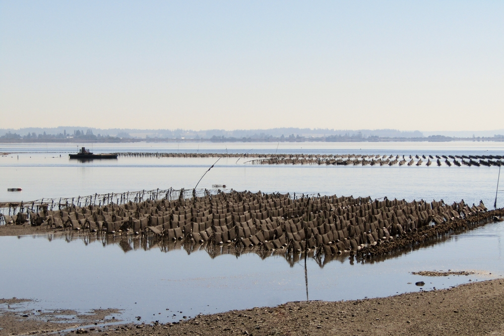 Highlights of NOAAs Growing American Seafood Report