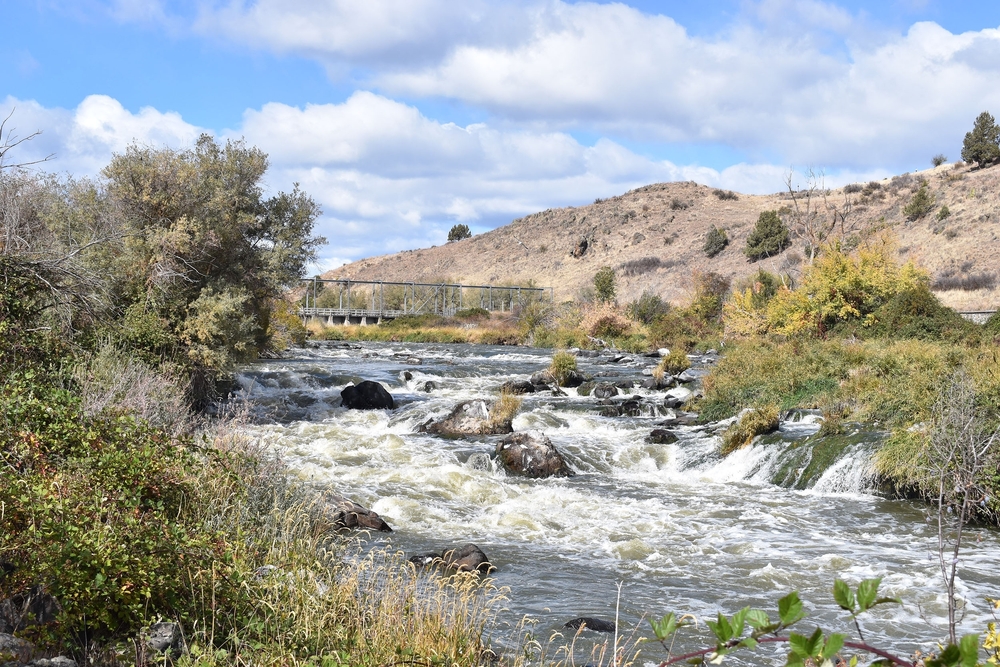 State Officials Explain Delays in Providing Fish Screens