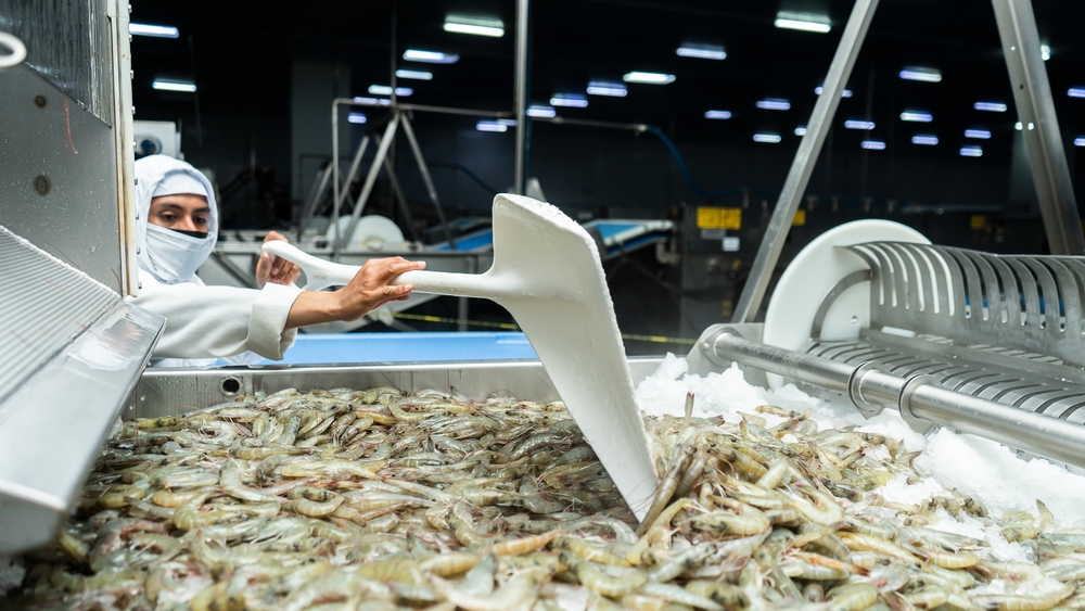 Ecuador Leads World Exports of Shrimp with More Than 7 Billion Dollars