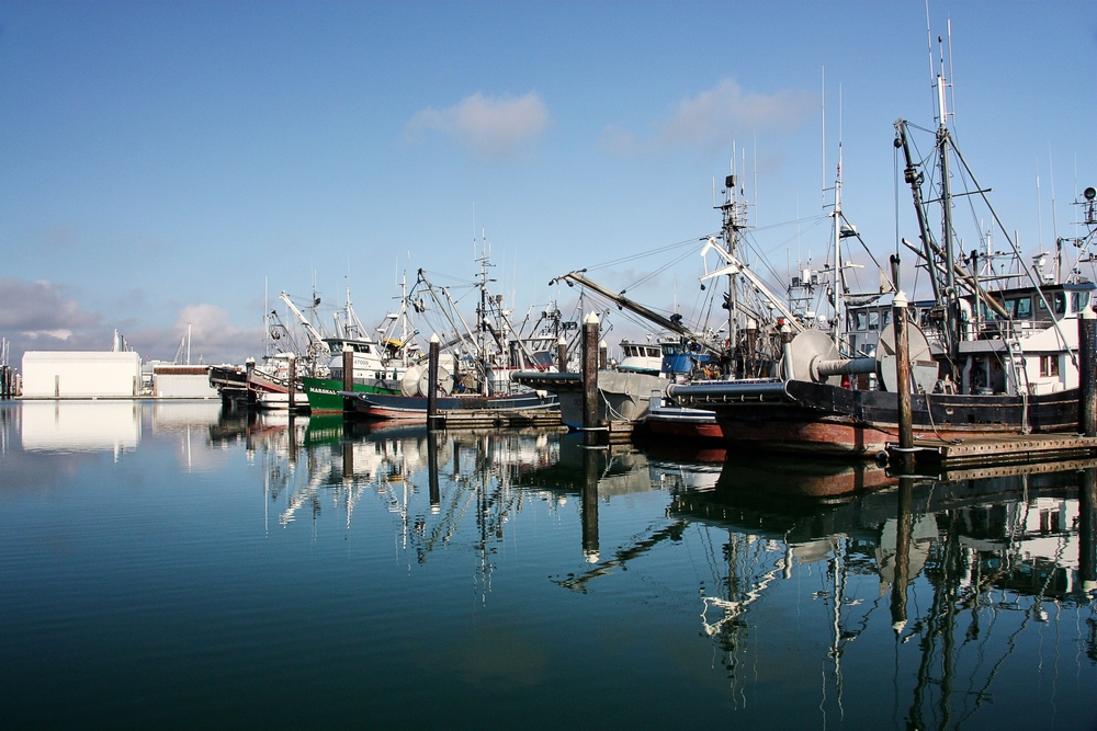 4 Of The Biggest Takeaways From The 2022 Fisheries Economics of The U.S. Report
