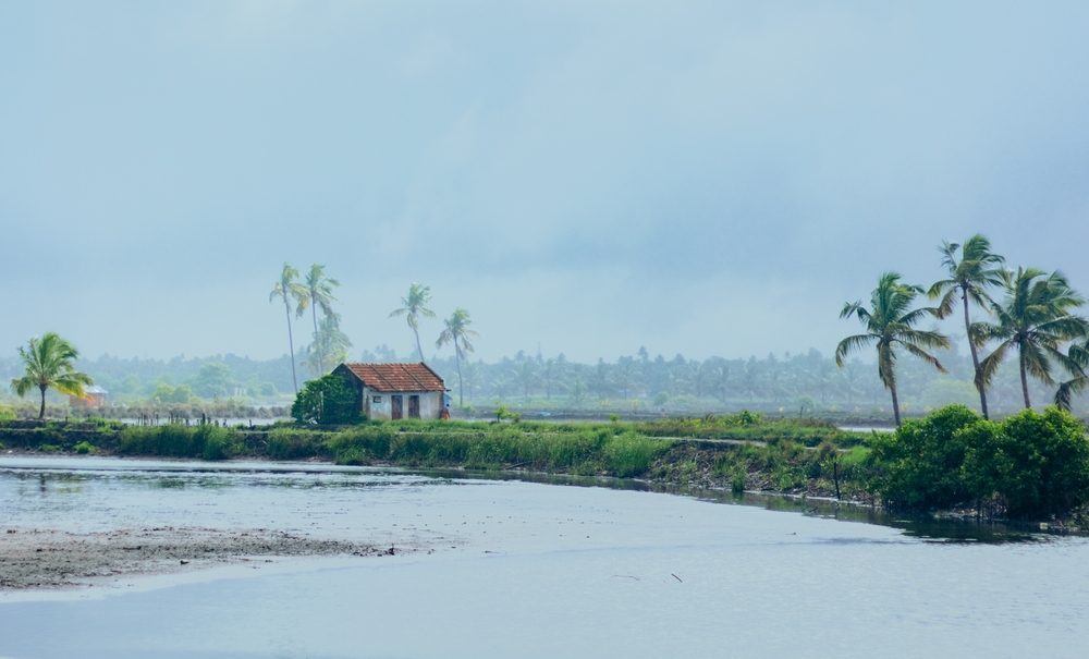 Indias Monsoon Back on Track, Heatwave to Ease, Say Weather Officials