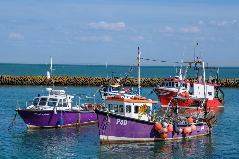 UK: Long-term Challenges Facing Our Fishing Fleet